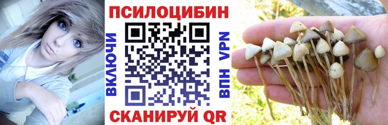 Псилоцибиновые грибы Cubensis  где найти   Харовск 